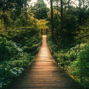 Call In Your Clientele / Crew